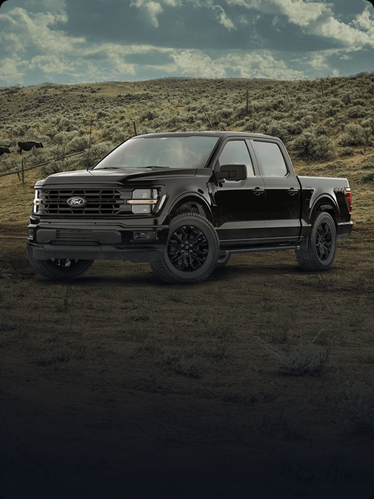 Black Ford F-150 parked on a dirt road with a rural grassland landscape in the background.
