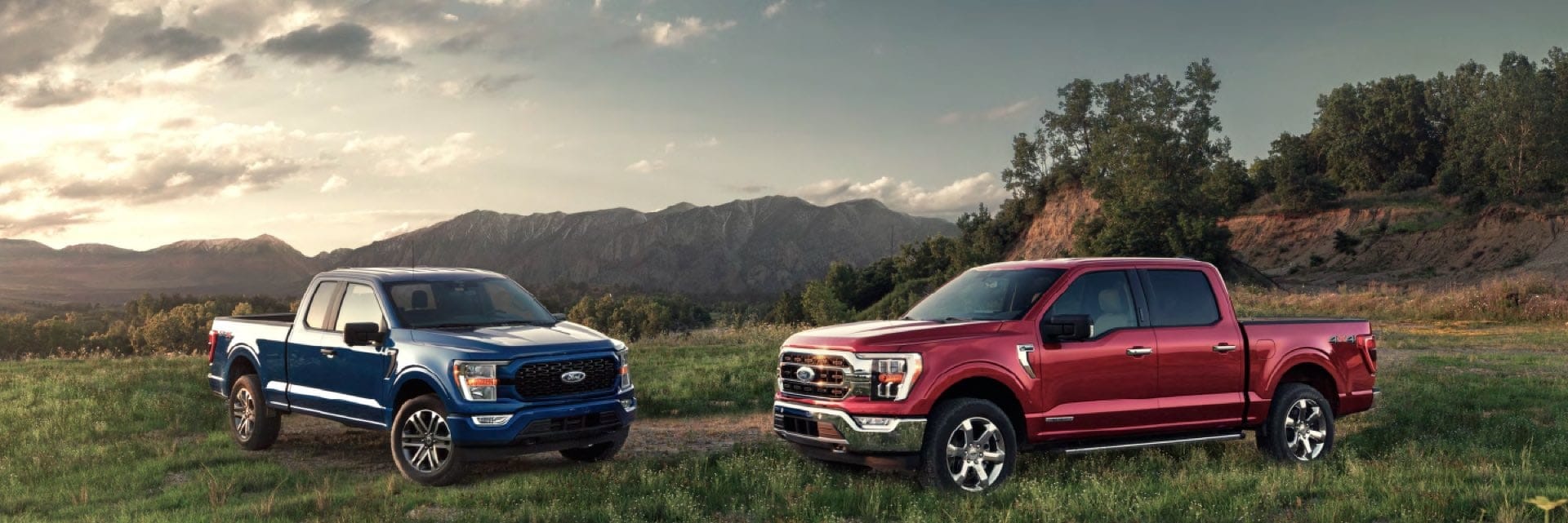 Two trucks parked on grass