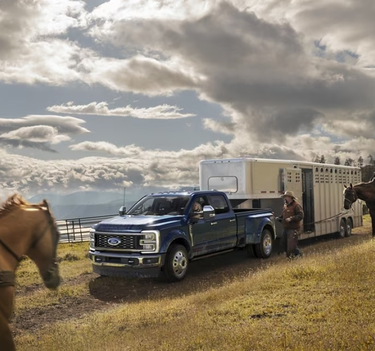 Blue Super Duty with horse trailer parked on country grassland with horses in the frame