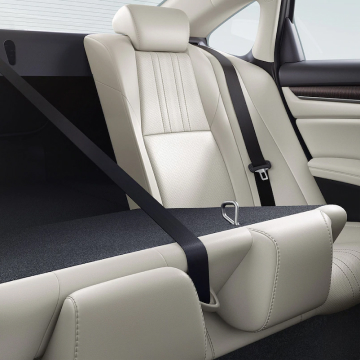 Interior view of back seats