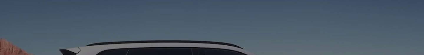 Sport Hybrid