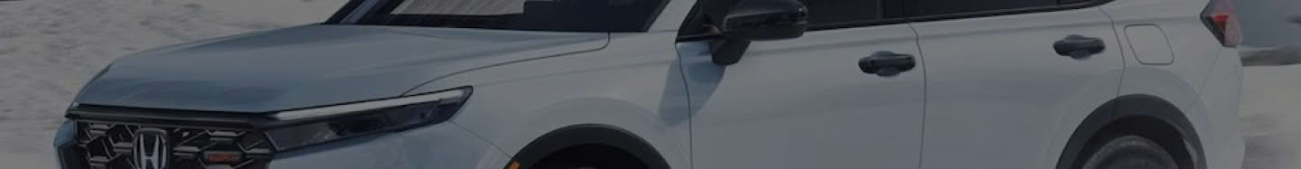 Sport Hybrid