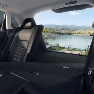 View out the rear tailgate of a lake