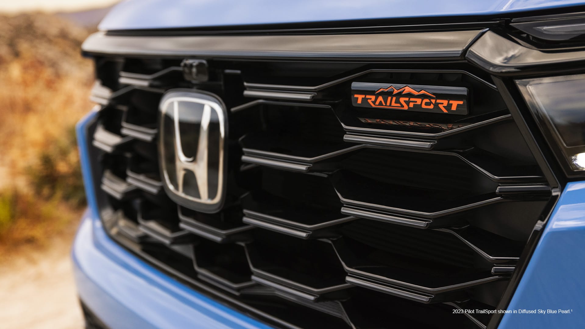 2023 All-New Pilot grill