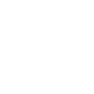 Plug-in Hybrid icon