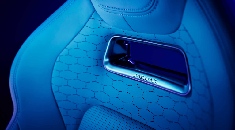 Jaguar interior view