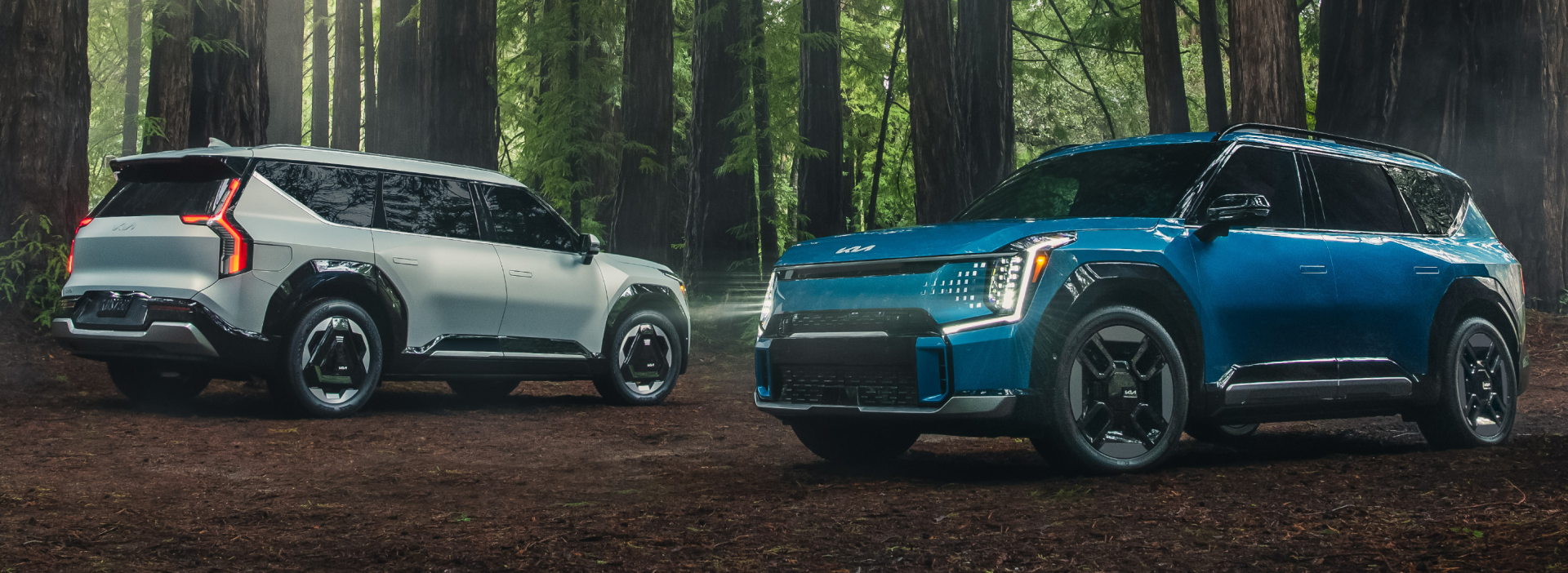 Two Hyundai SUVs parked side by side in the deep woods