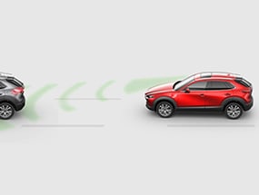 SMART BRAKE SUPPORT WITH PEDESTRIAN DETECTION