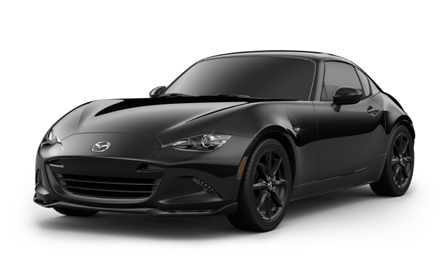 Jet Black Mica