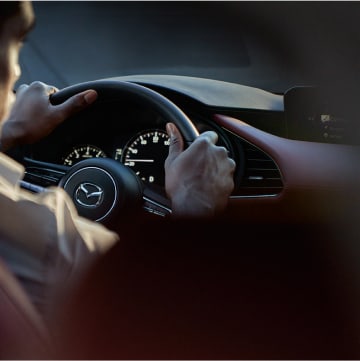 driver with hands on the steering wheel