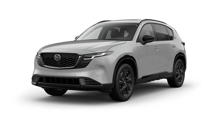 2.5 S PREMIUM