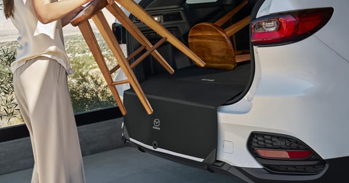 Bose in-door speaker