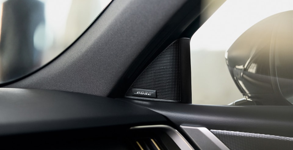 Bose in-door speaker