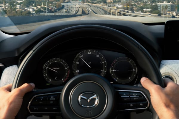 Driver's eye view of steering wheel and dashboard