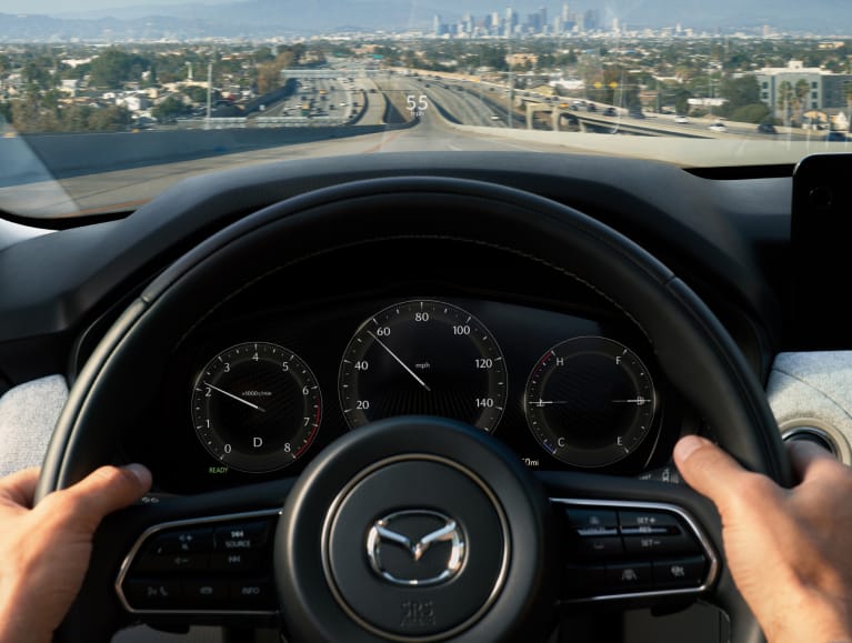 Hands on the steering wheel