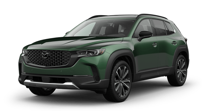 2.5 Turbo Premium Plus