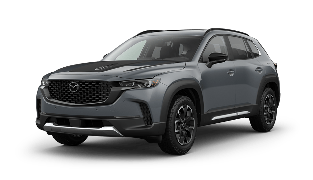 2.5 S Turbo Meridian Edition