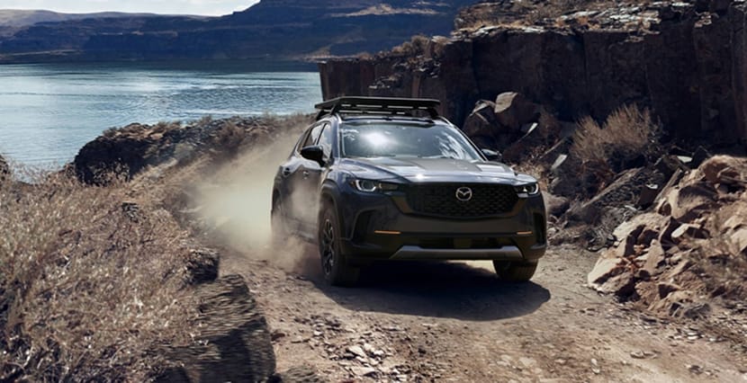 CONSUMER REPORTS RECOMMENDED