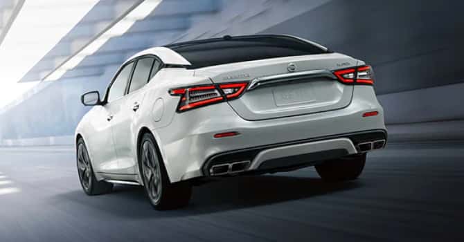 White Nissan Maxima rear image