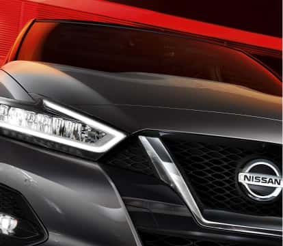 Front image of Nissan Maxima grill and headlight