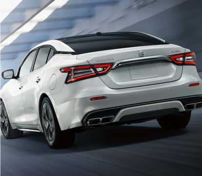 White Nissan Maxima rear image