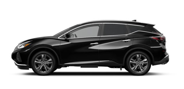 PLATINUM INTELLIGENT AWD