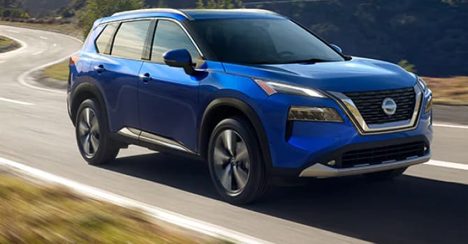 2022 Blue Rogue