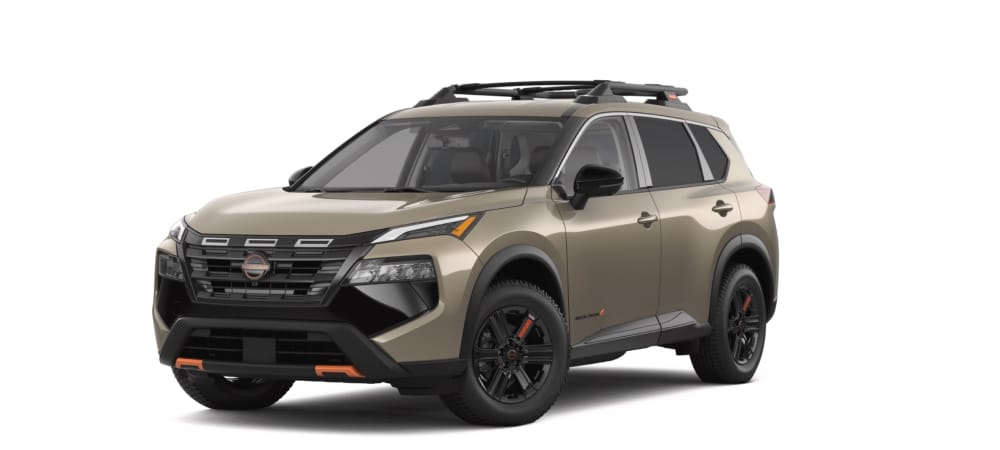 Baja Storm Metallic