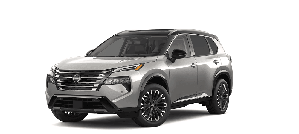 Two-Tone Super Black / Champagne Silver Metallic