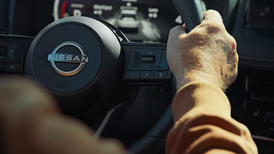 propilot assist