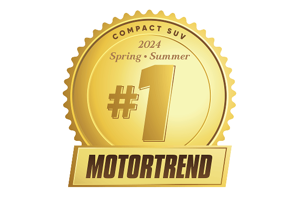 Award Icon