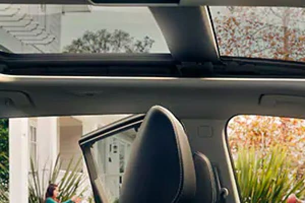 Dual Panel Moonroof