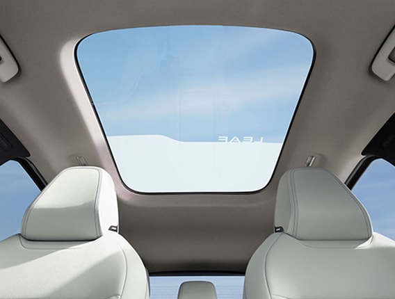 NIssan Leaf moonroof