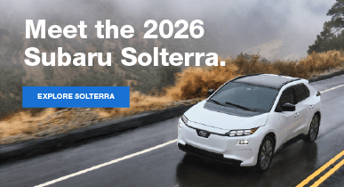 Solterra Corp Cell