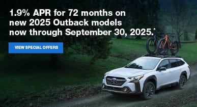 Subaru Outback corpcell