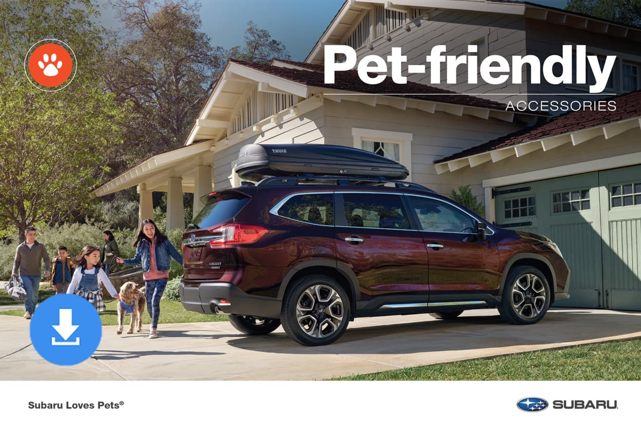 Pet-Friendly Accessories Brochure cover image