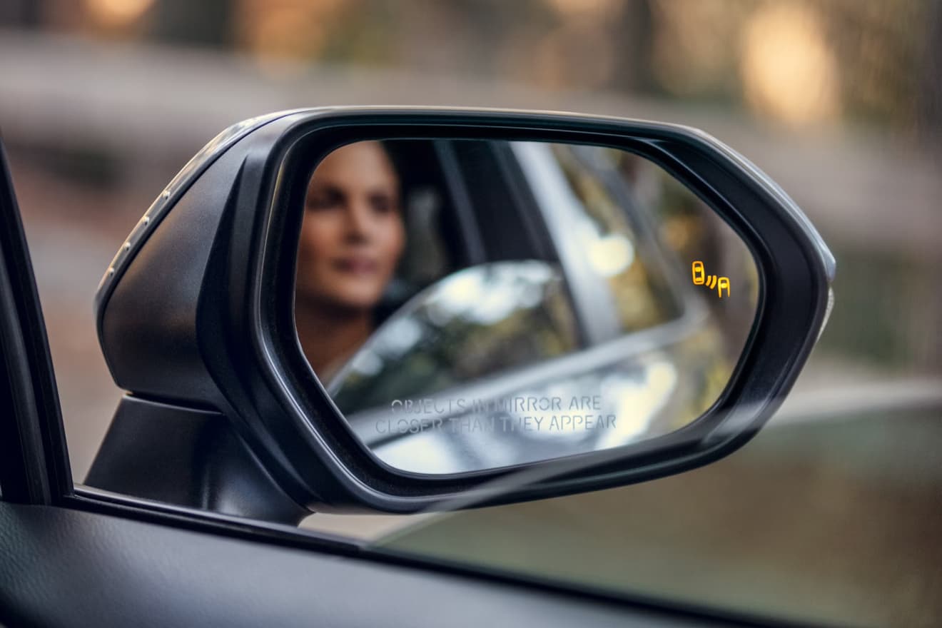 Standard Blind Spot Monitor
