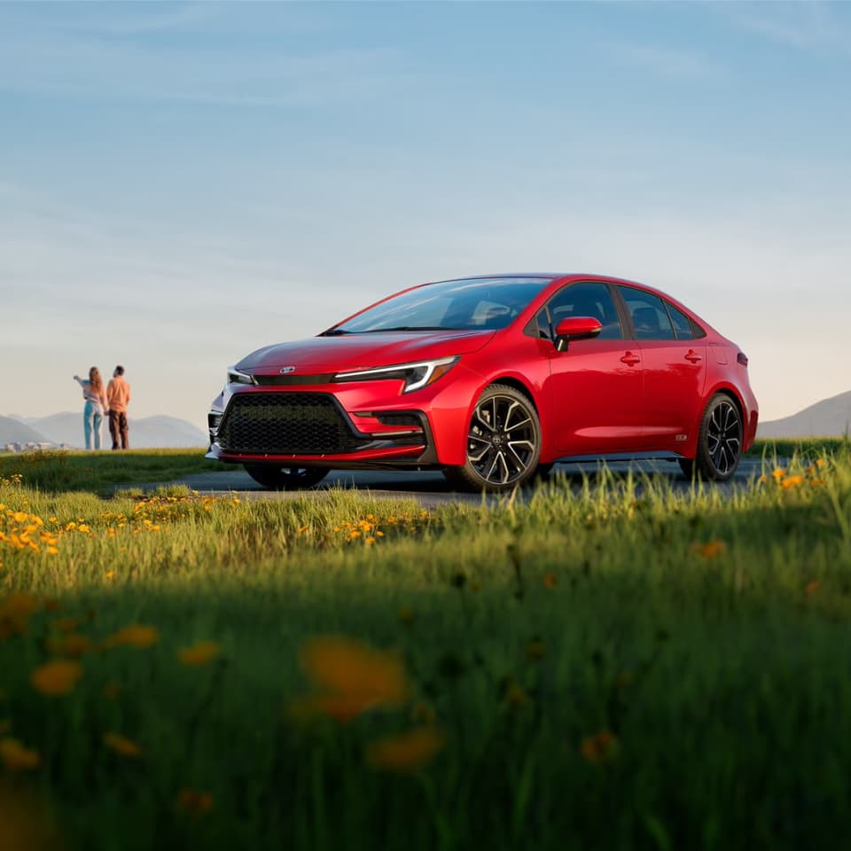 Corolla Gallery 1