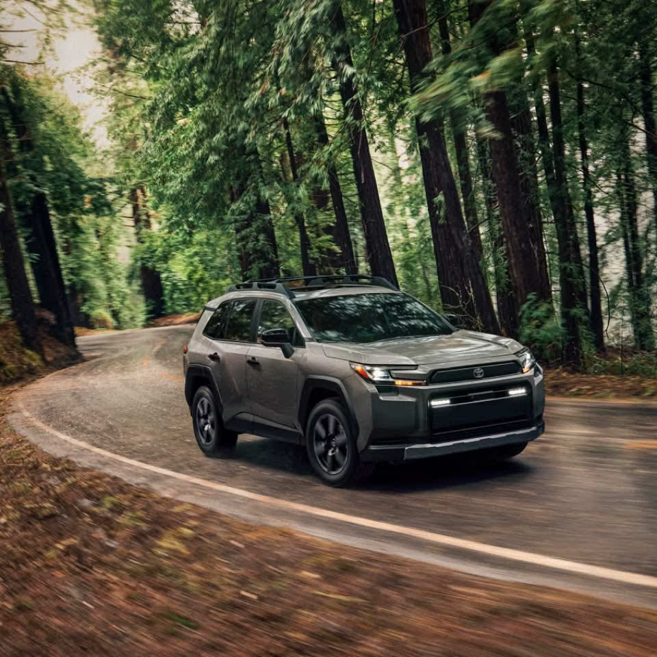 RAV4 grey color car in forest