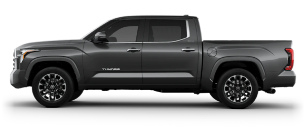 Tundra